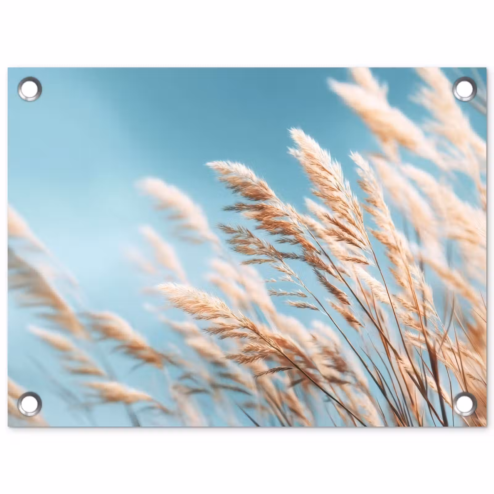 Tuinposter - Siergras - Wind - Lichtbruin — 1
