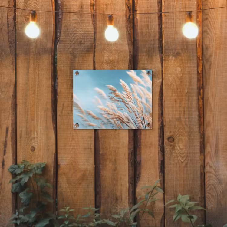 Tuinposter - Siergras - Wind - Lichtbruin — 2