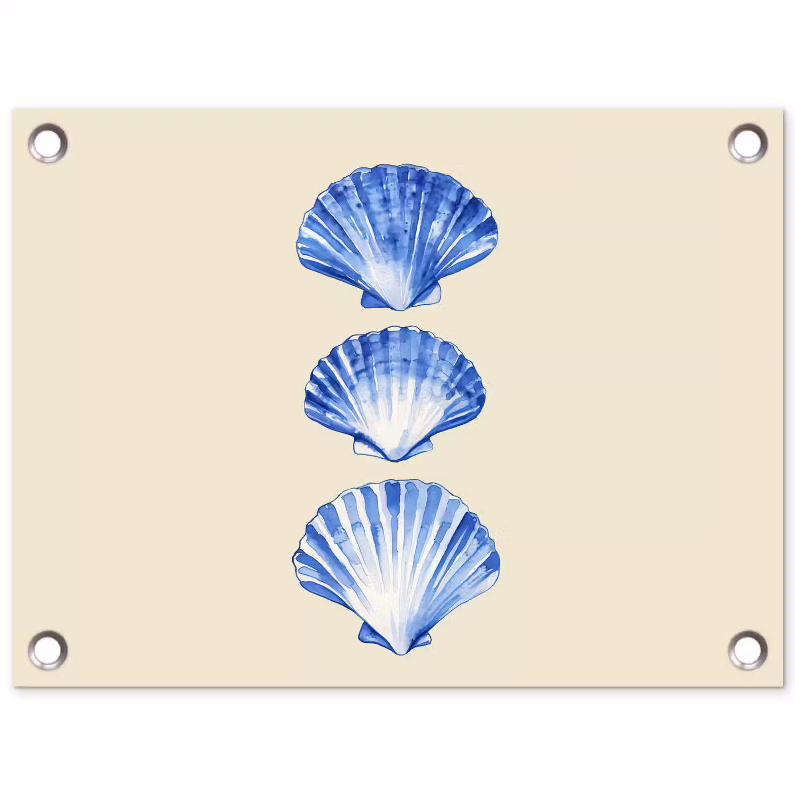 Tuinposter - Schelpen - Blauw - Beige — 1