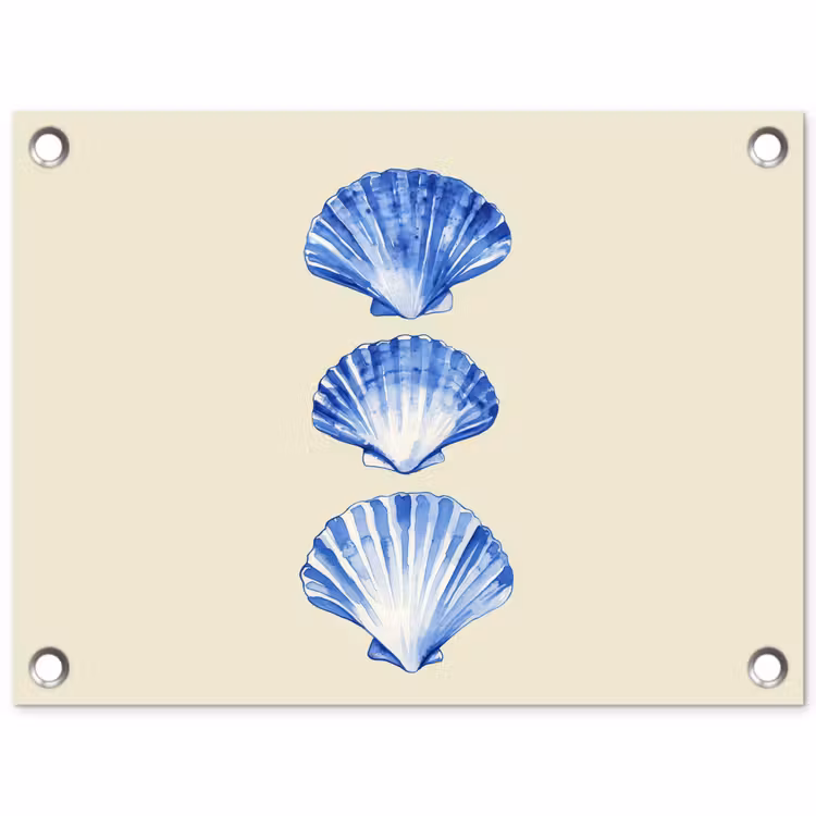 Tuinposter - Schelpen - Blauw - Beige — 1