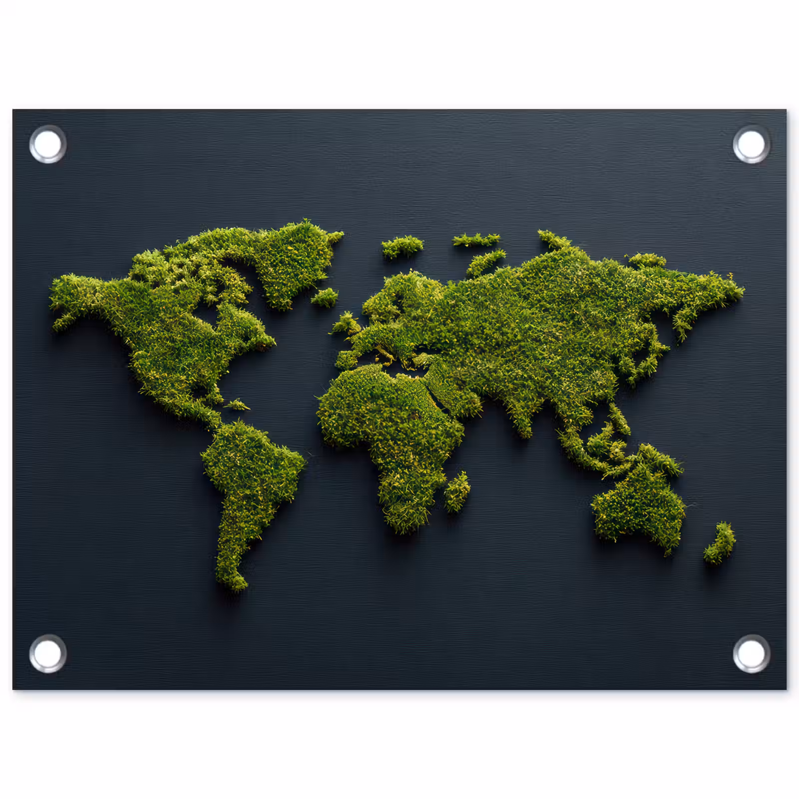 Tuinposter - Wereldkaart - Mos -Levendig effect — 1