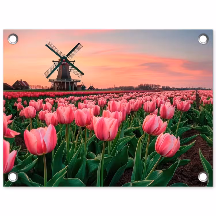 Tuinposter - Tulpen - Molen - Nederland — 1