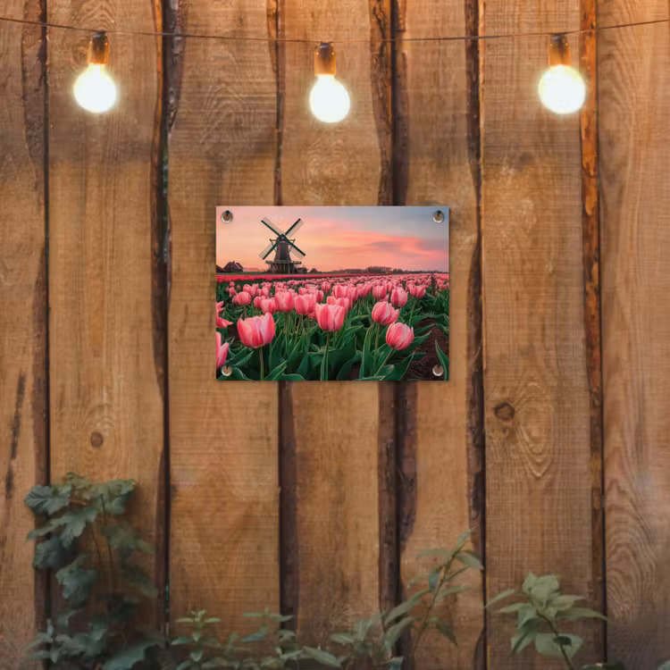 Tuinposter - Tulpen - Molen - Nederland — 2