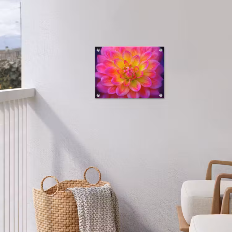 Tuinposter - Roze - Dahlia - Kleurrijk — 3