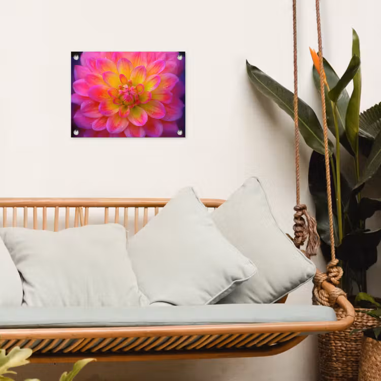 Tuinposter - Roze - Dahlia - Kleurrijk — 5