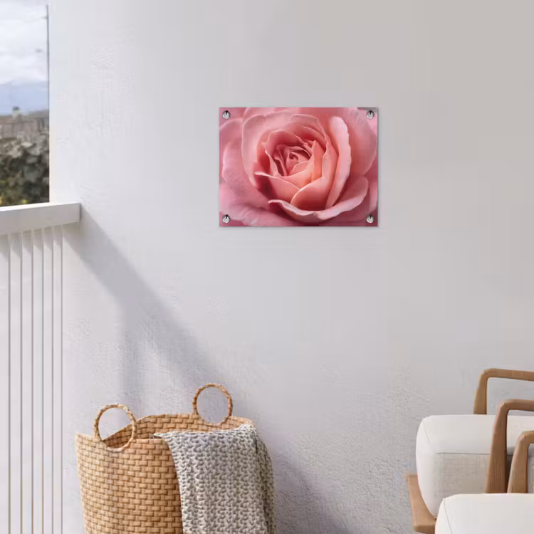 Tuinposter - Roze - Roos - Romantisch — 3