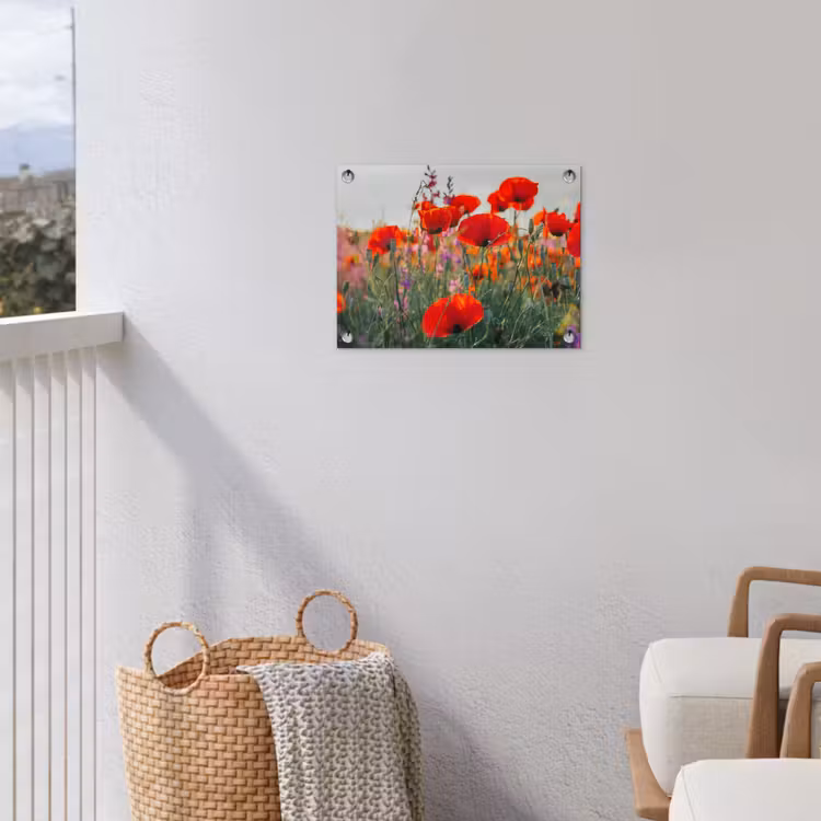 Tuinposter - Rode klaprozen in de avondzon — 3