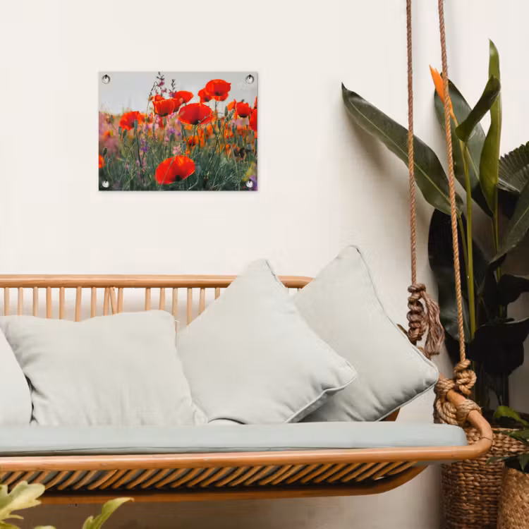 Tuinposter - Rode klaprozen in de avondzon — 5