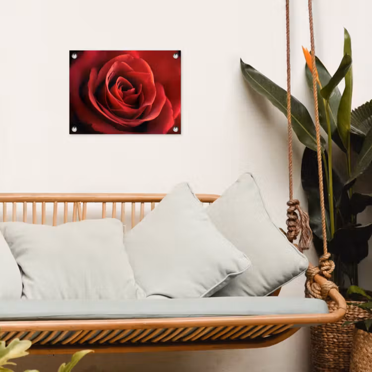 Tuinposter - Rood - Roos - Romantisch — 5
