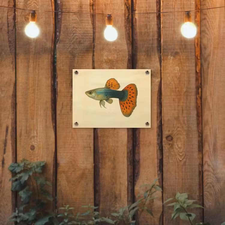 Tuinposter - Vis - illustratie - Stippen - Oranje — 2