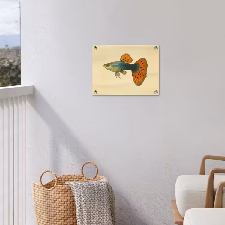 Tuinposter - Vis - illustratie - Stippen - Oranje — 3