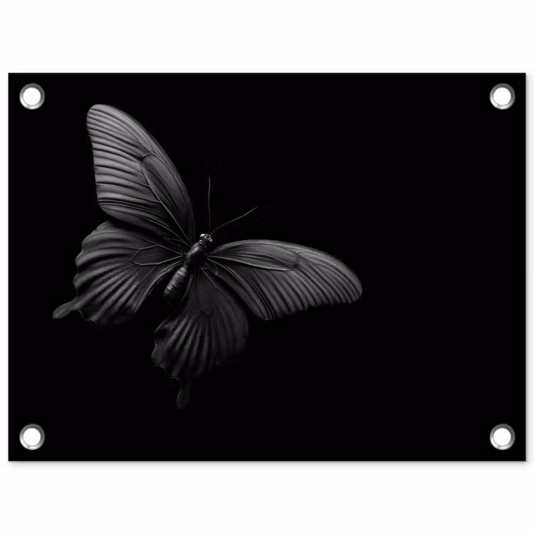 Tuinposter - Vlinder - Zwart - Insect - Dieren — 1