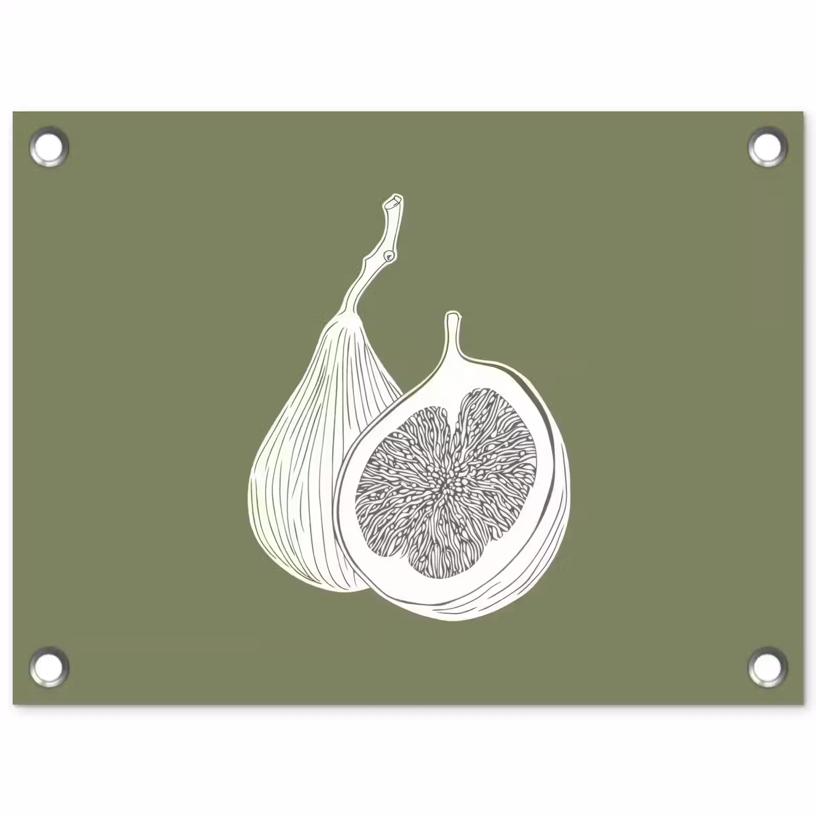 Tuinposter - Vijgen - Minimalistisch - Getekend - Mosgroen — 1