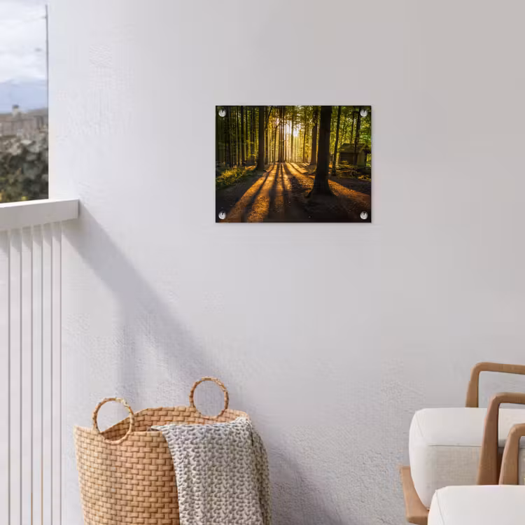 Tuinposter - Zon - Bomen - Bos - Landschap - Natuur — 3