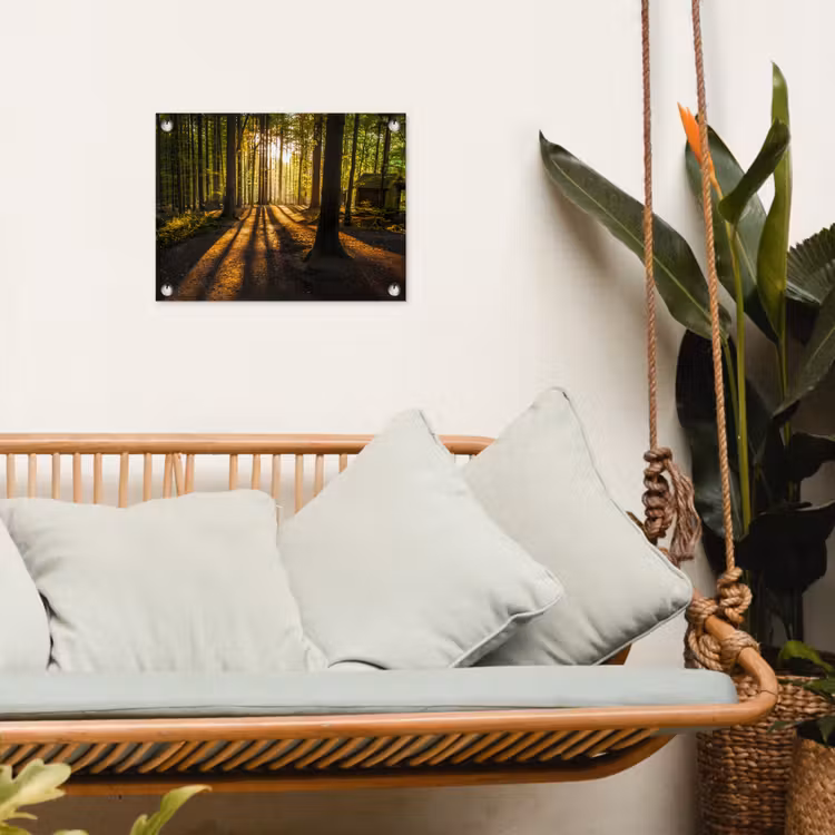Tuinposter - Zon - Bomen - Bos - Landschap - Natuur — 5