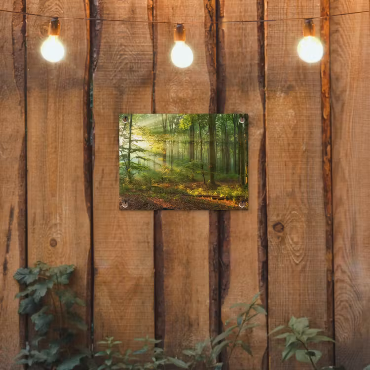 Tuinposter - Zon - Bos - Bomen - Natuur - Herfst — 2