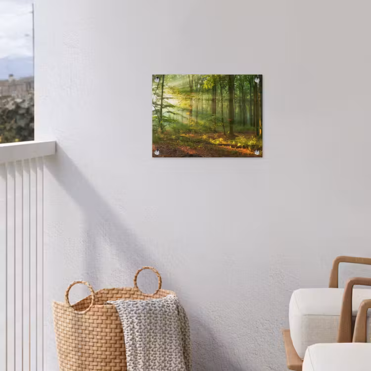 Tuinposter - Zon - Bos - Bomen - Natuur - Herfst — 3