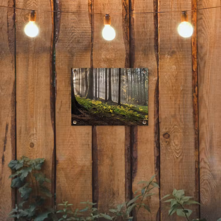 Tuinposter - Zon - Takken - Bomen - Bos - Natuur — 2