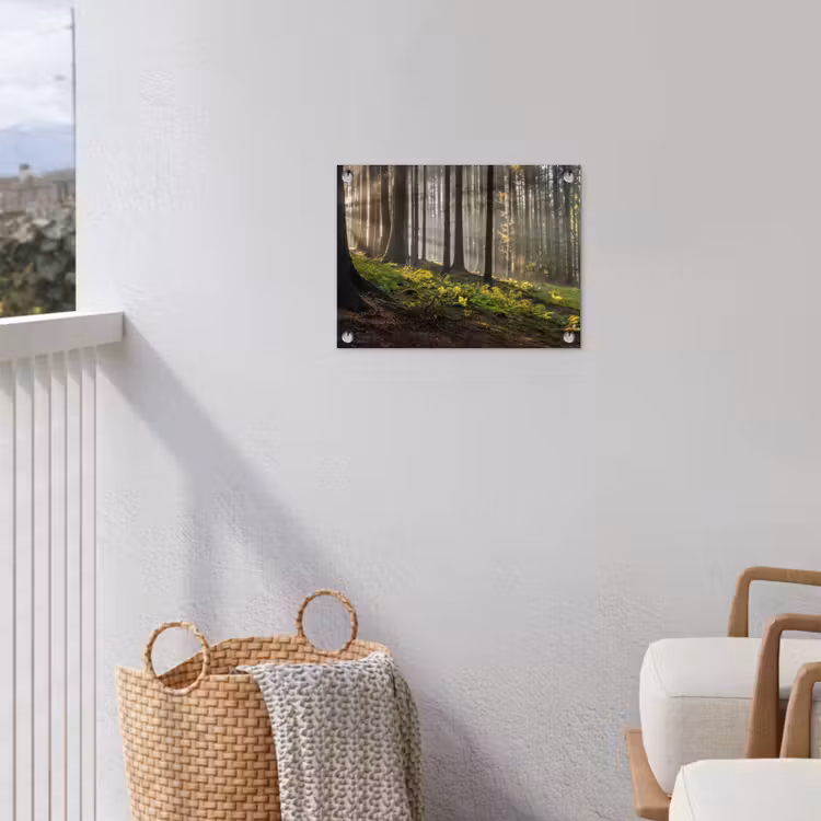 Tuinposter - Zon - Takken - Bomen - Bos - Natuur — 3
