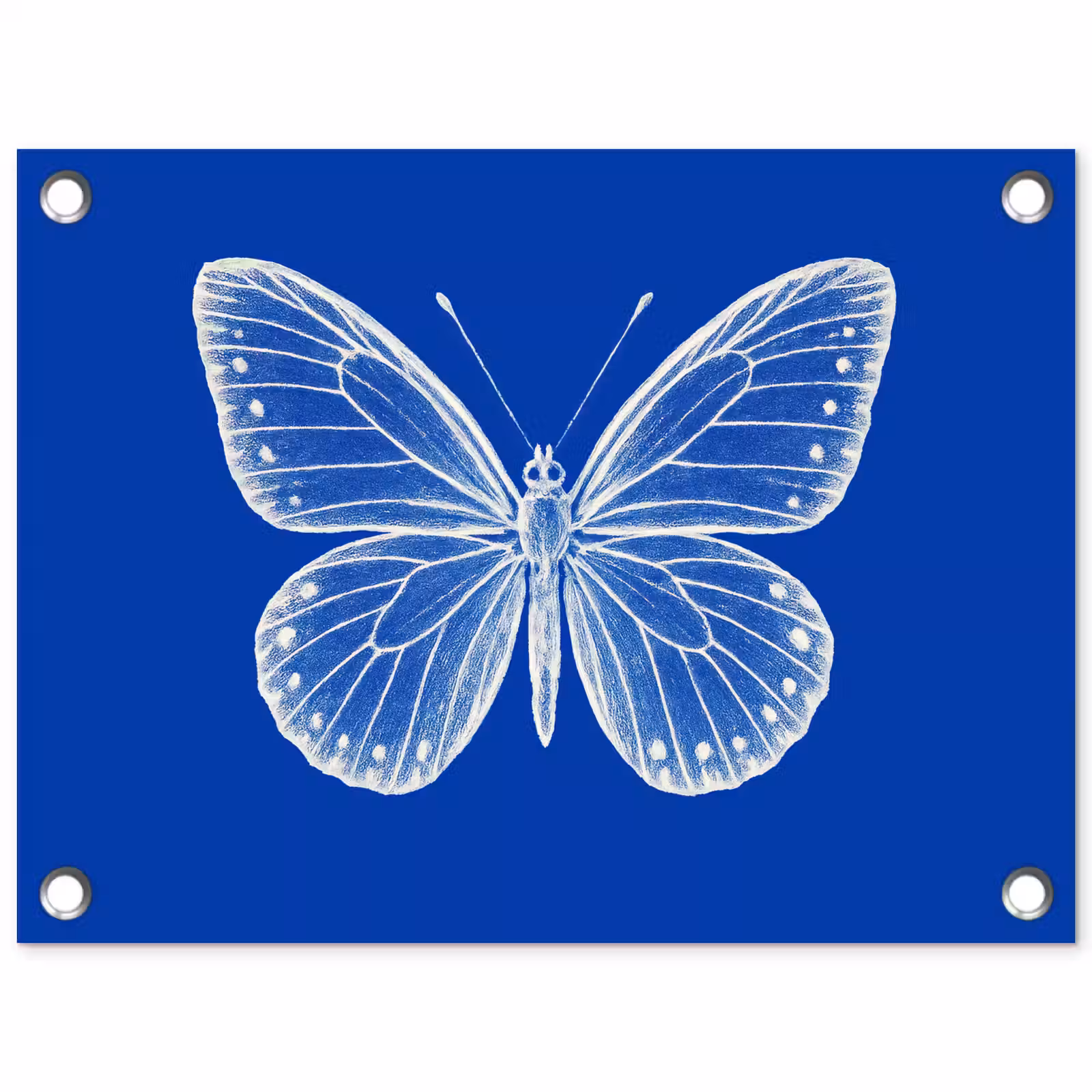 Tuinposter - Vlinder - Wit - Getekend - Stippen — 1