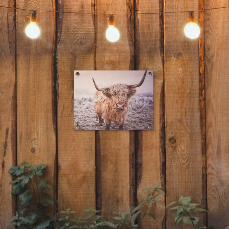 Tuinposter - Schotse hooglanders - Licht - Lucht - Natuur — 2