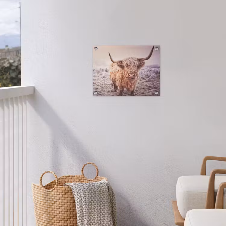 Tuinposter - Schotse hooglanders - Licht - Lucht - Natuur — 3