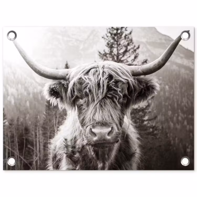Tuinposter - Schotse hooglander - Koe - Dieren - Zwart - Wit — 1