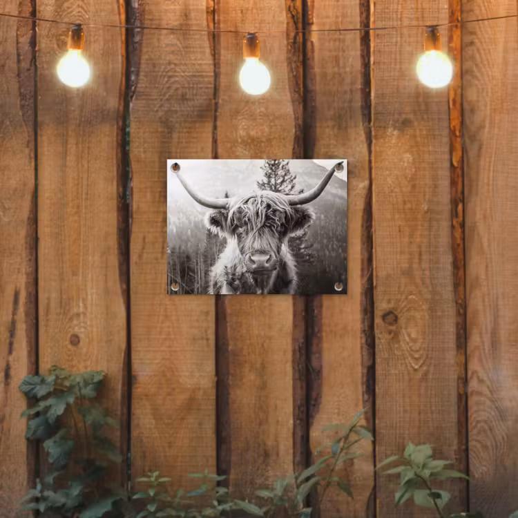 Tuinposter - Schotse hooglander - Koe - Dieren - Zwart - Wit — 2
