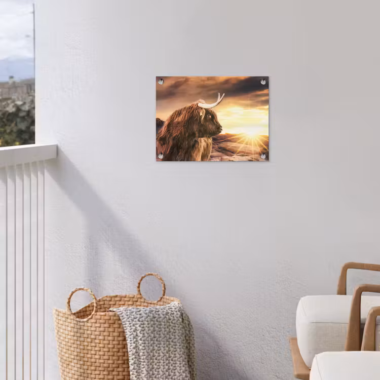 Tuinposter - Schotse hooglander - Zon - Horizon - Koe - Dieren — 3