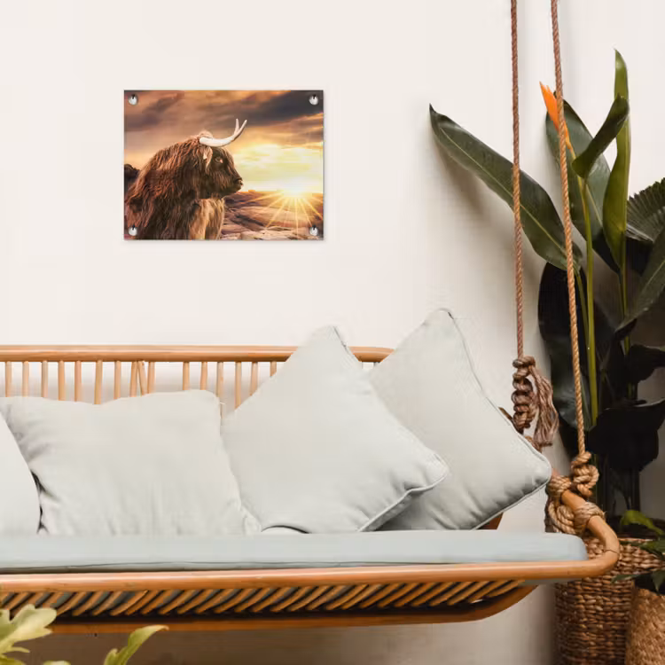 Tuinposter - Schotse hooglander - Zon - Horizon - Koe - Dieren — 5