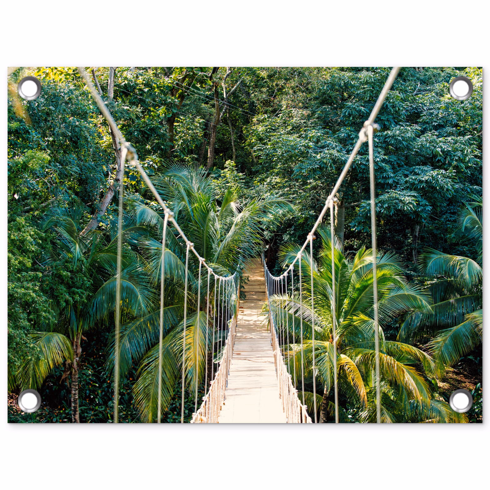 Tuinposter - Touwbrug in het Tropisch Woud — 1