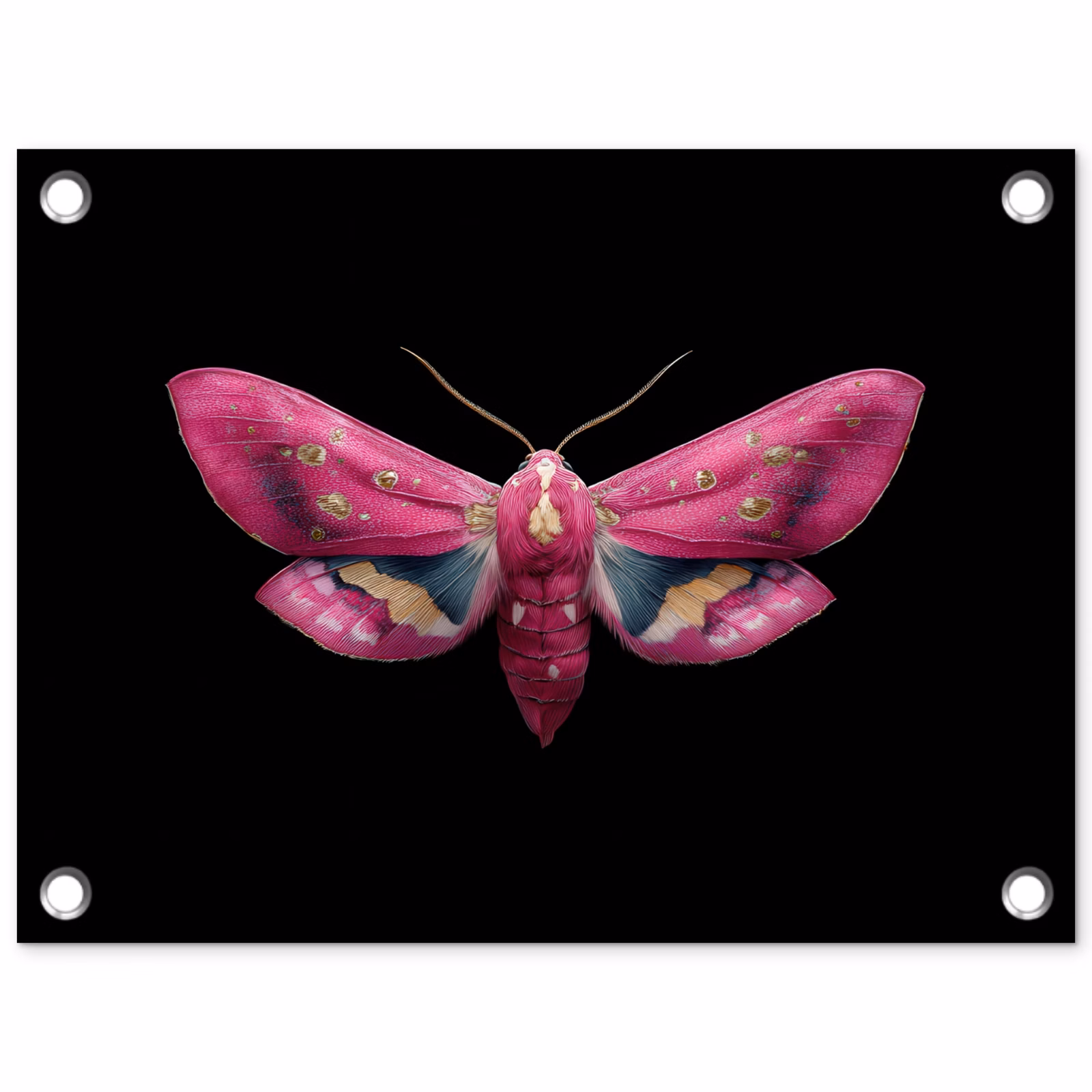 Tuinposter - Vlinder - Roze - Nachtvlinder — 1