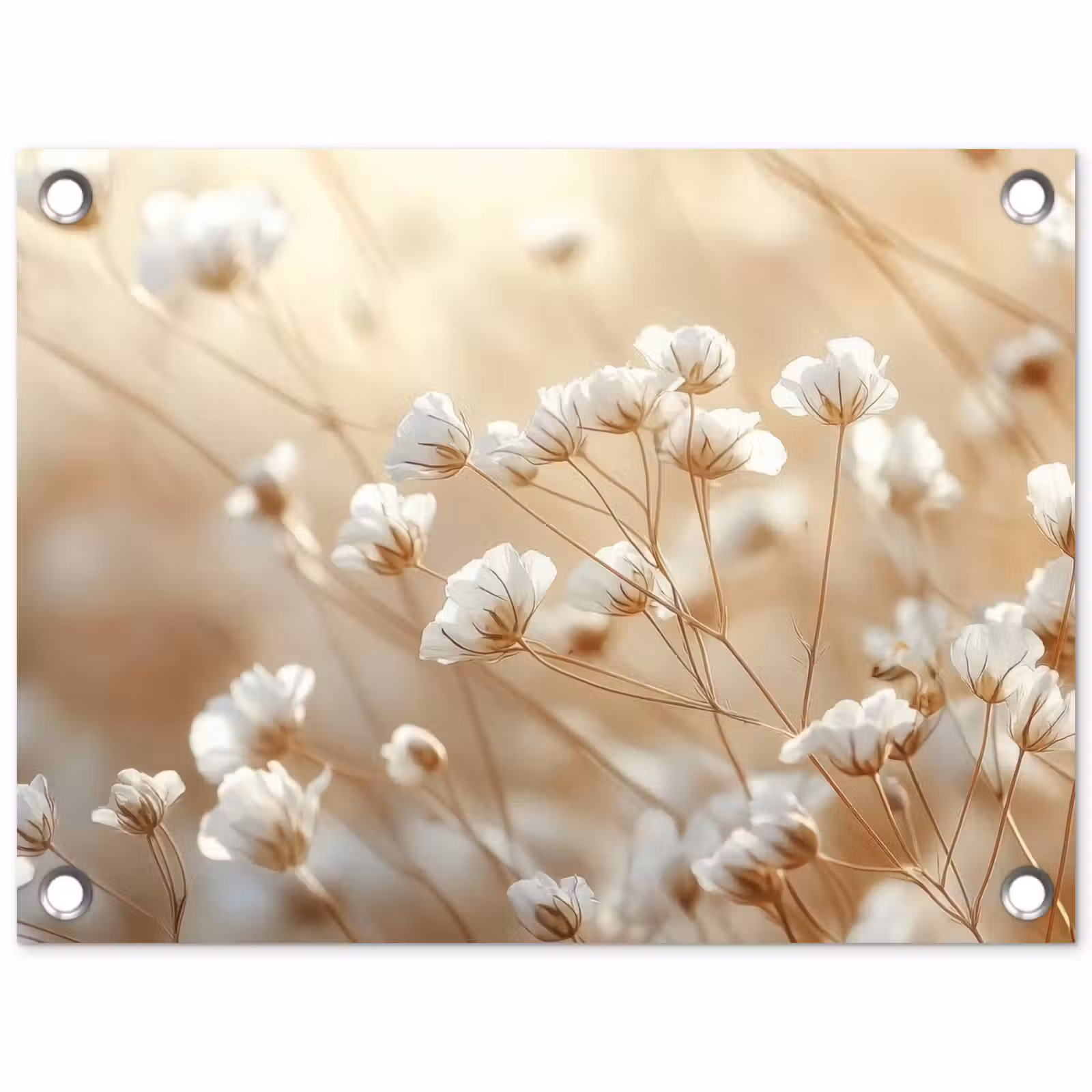 Tuinposter - Wilde - Bloemen - Wit — 1