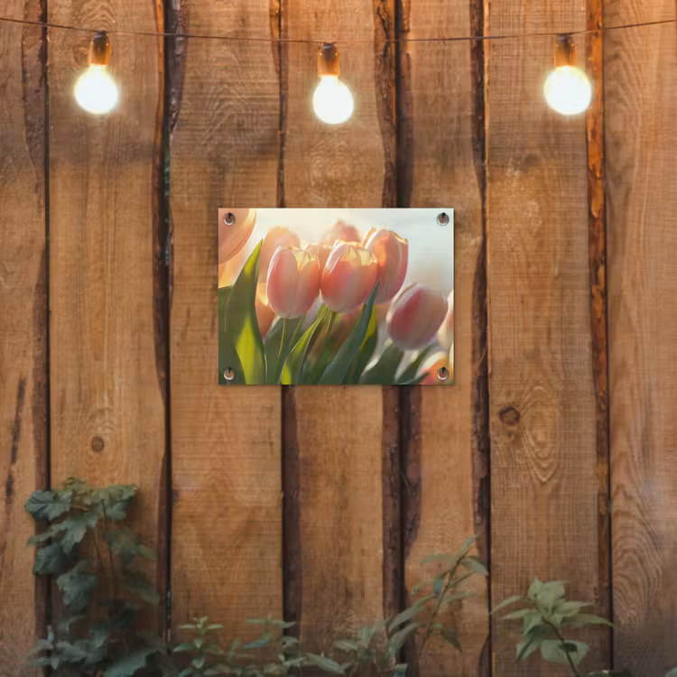 Tuinposter - Tulpen - Roze - Zonnestralen — 2