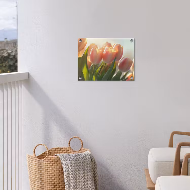 Tuinposter - Tulpen - Roze - Zonnestralen — 3