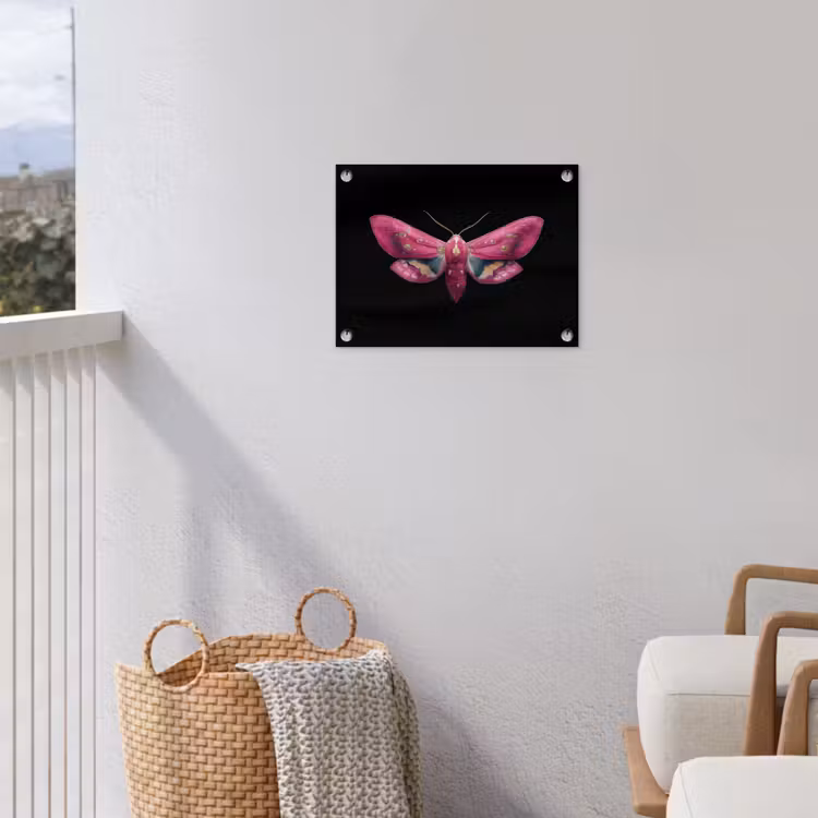 Tuinposter - Vlinder - Roze - Nachtvlinder — 3