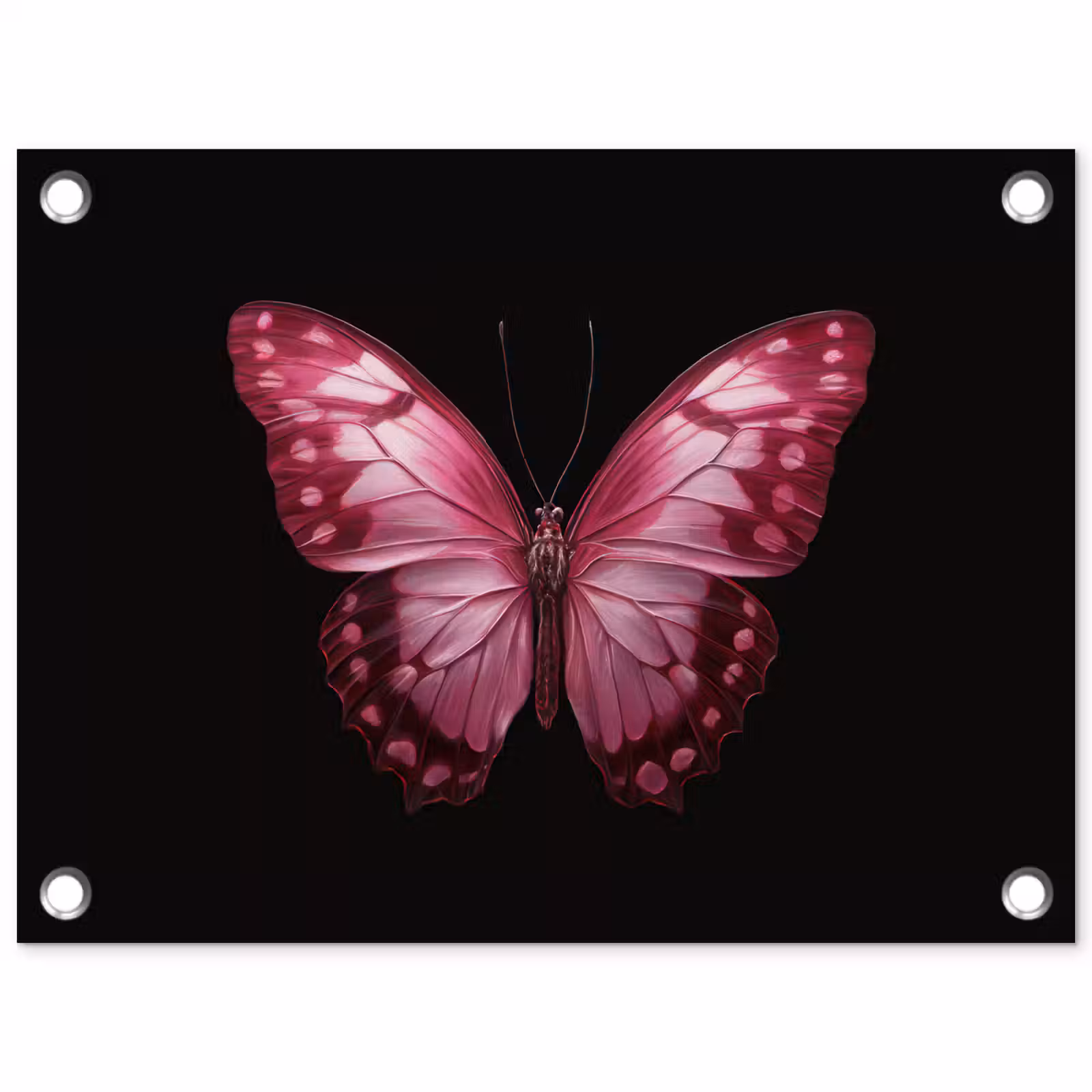 Tuinposter - Vlinder - Fuchsia - Grafisch — 1