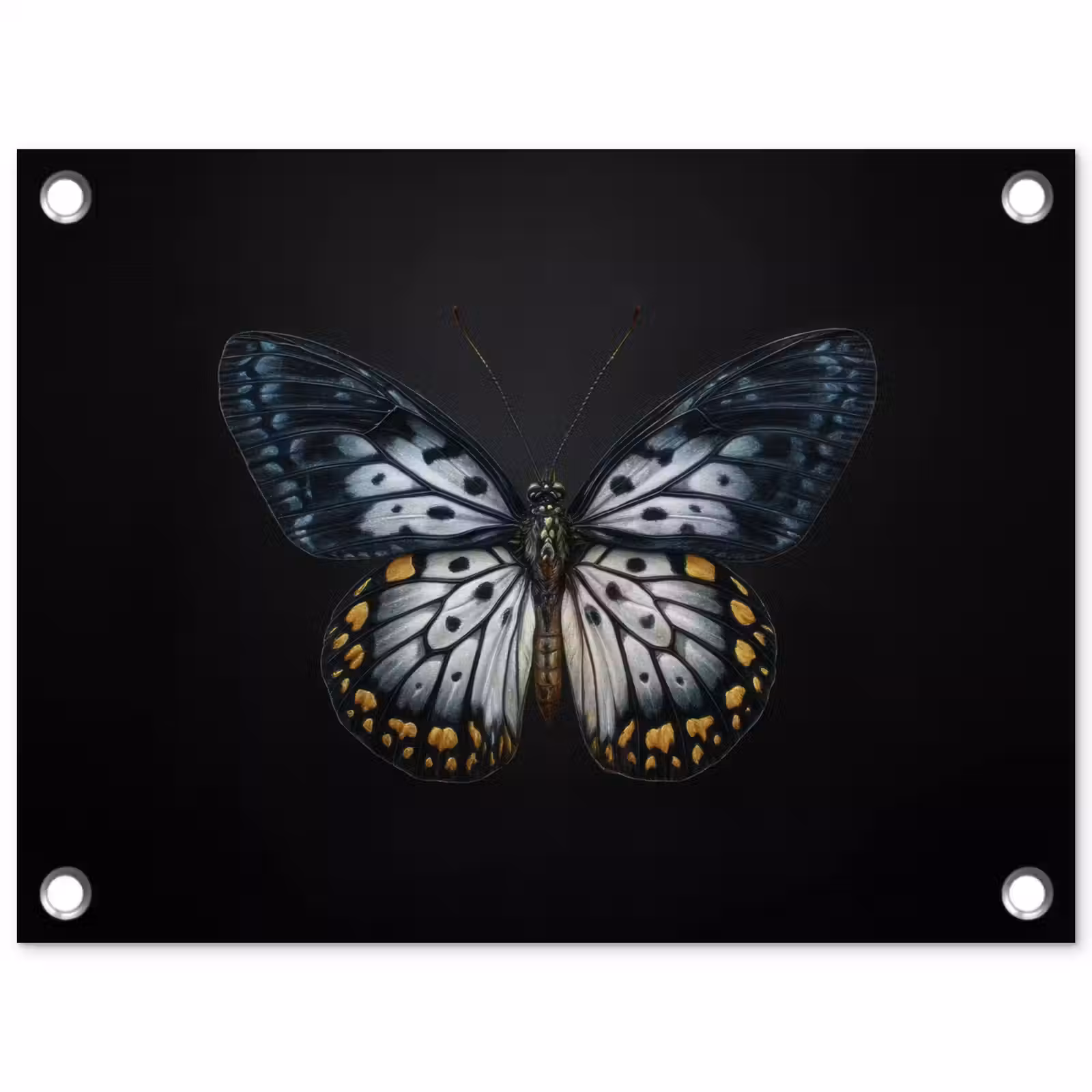 Tuinposter - Vlinder - Monochroom - Balans — 1
