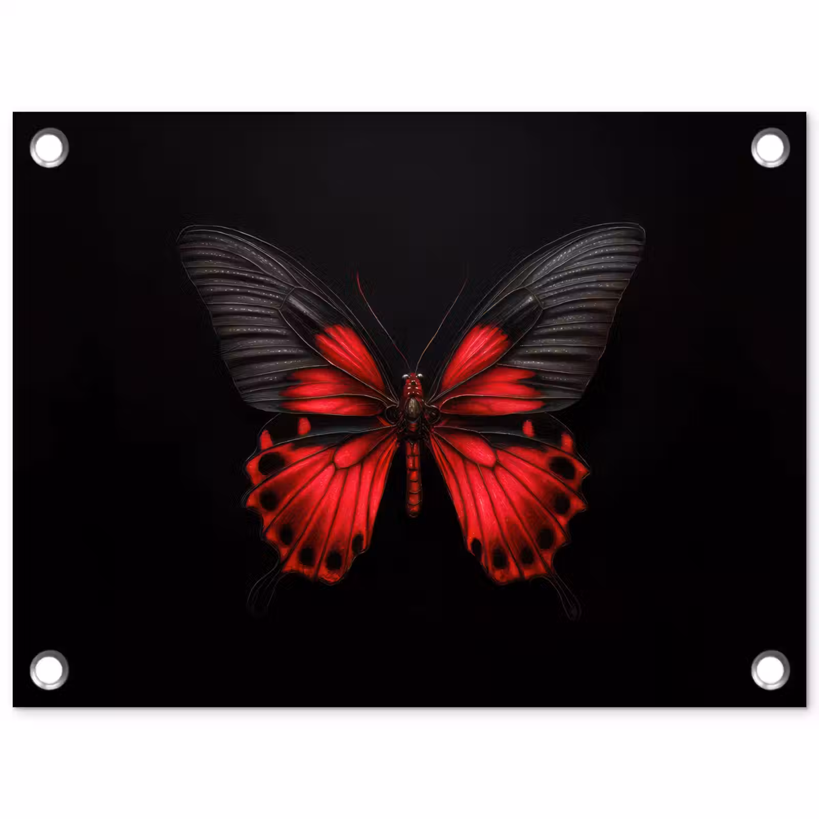 Tuinposter - Vlinder - Rood - Contrast — 1