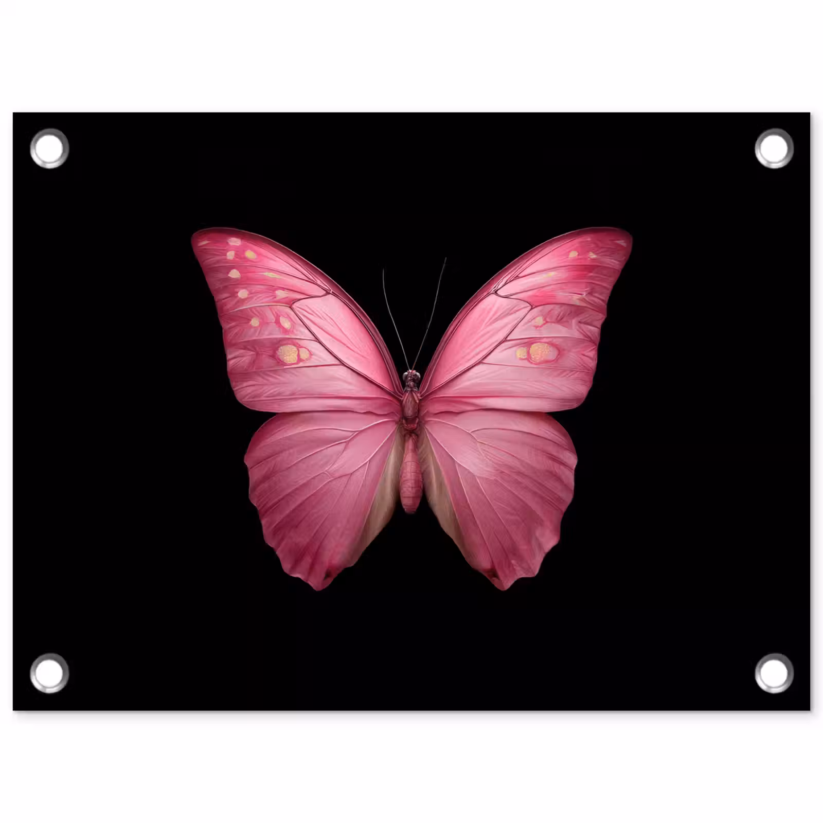 Tuinposter - Vlinder - roze - Elegant — 1