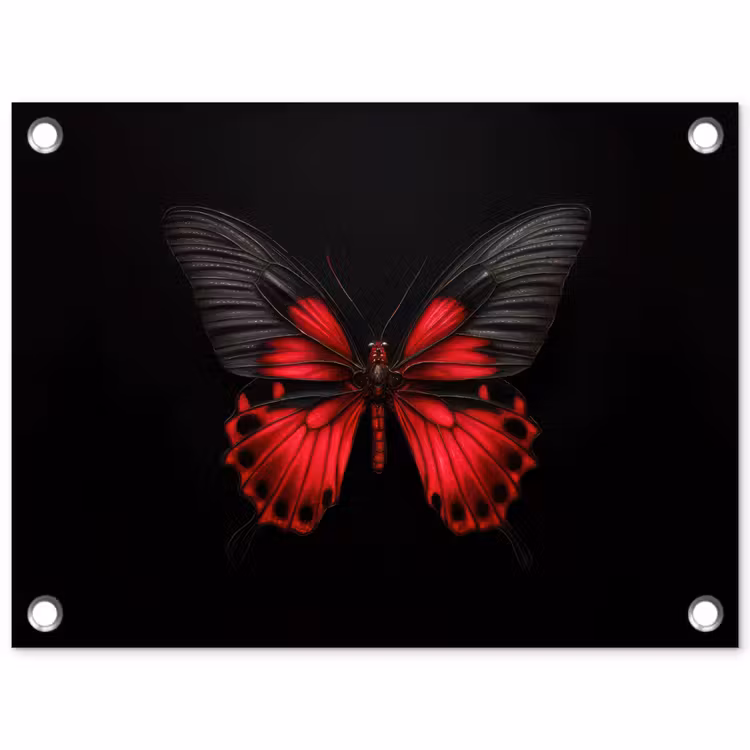 Tuinposter - Vlinder - Rood - Contrast — 1