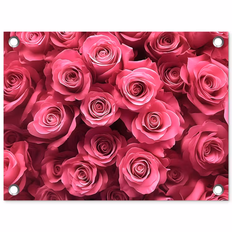 Tuinposter - Rozen - Pink - Bloem — 1