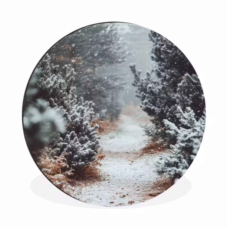 Wandcirkel - Aluminium - Bos - Winter - Bomen - Natuur - Pad - Sneeuw — 1