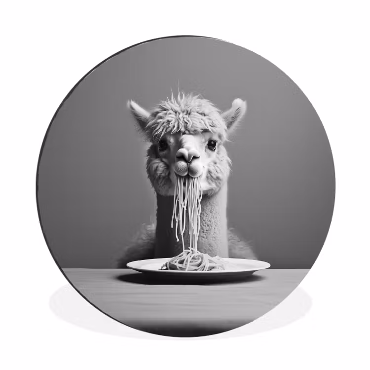 Wandcirkel - Aluminium - Alpaca - Pasta - Zwart - Wit - Grappig - Dieren — 1