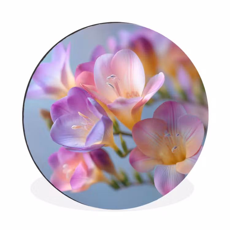 Wandcirkel - Aluminium - Bloemen - Paars - Overloop - Meeldraden — 1