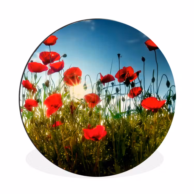 Wandcirkel - Aluminium - Klaprozen - Toscane - Zon - Rood - Blauw — 1