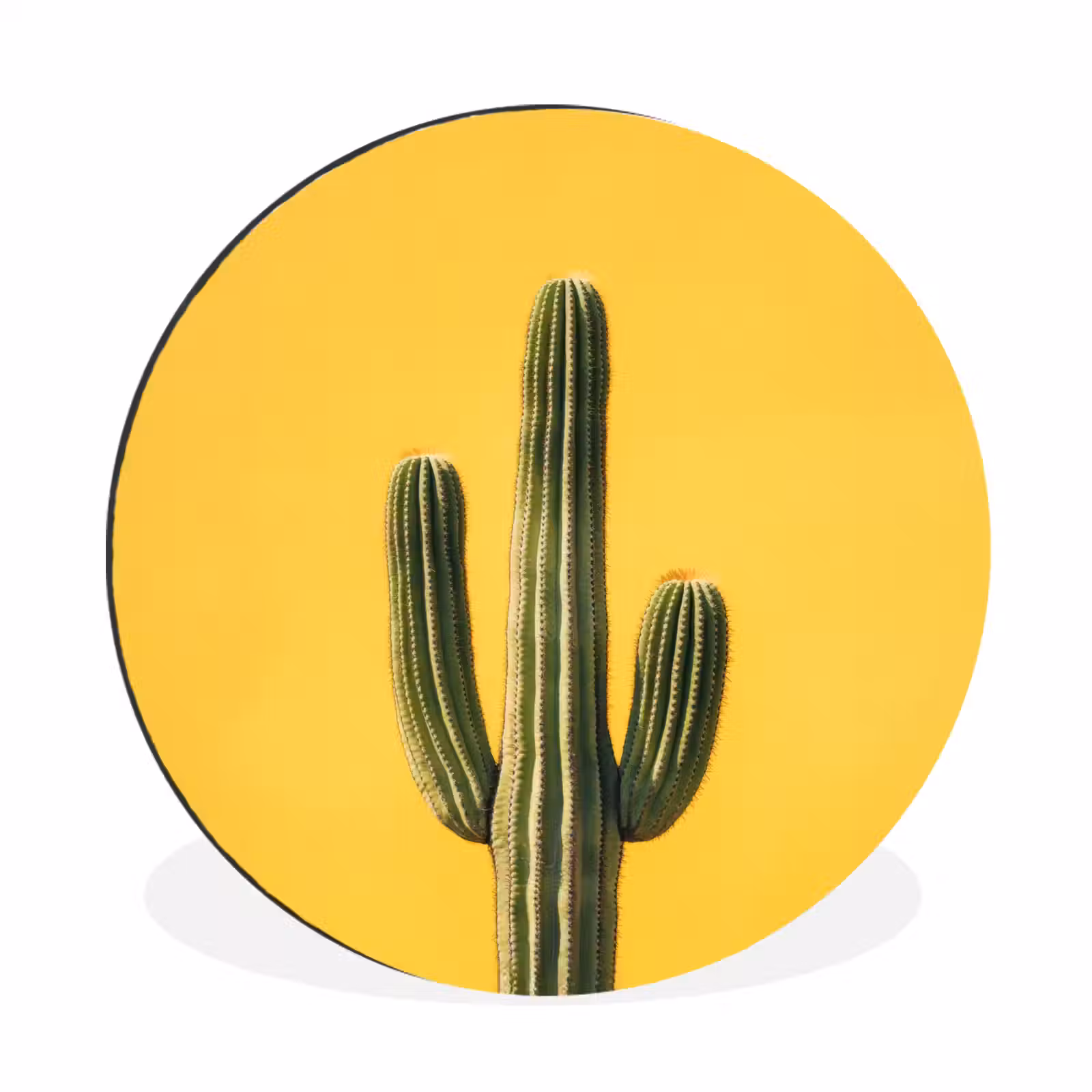 Wandcirkel - Aluminium - Cactus - Groen - Minimalistisch — 1