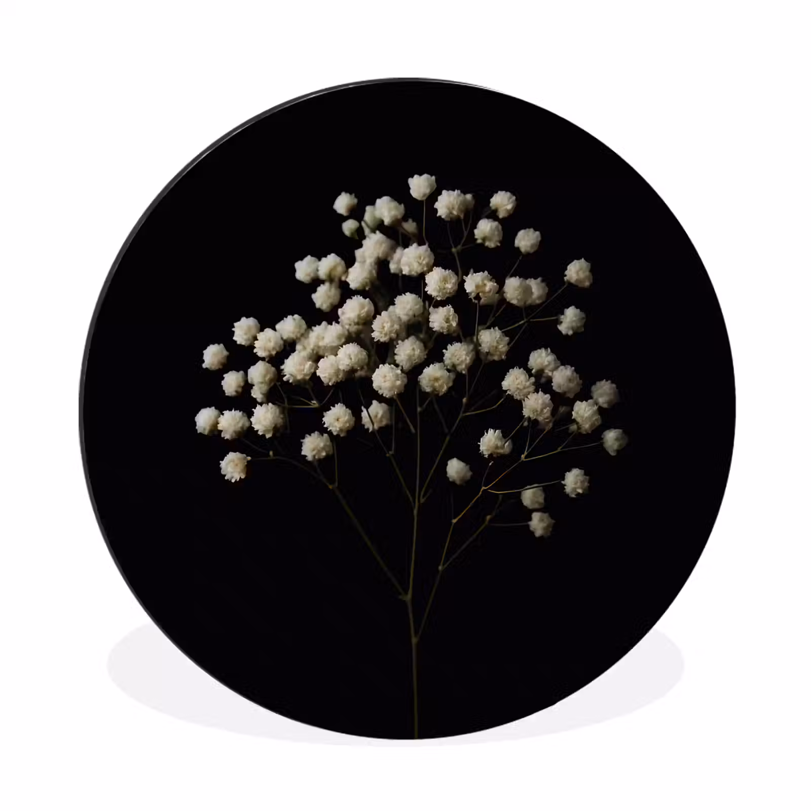 Wandcirkel - Aluminium - Gipskruid - Bloemetjes - Wit - Minimalistisch — 1
