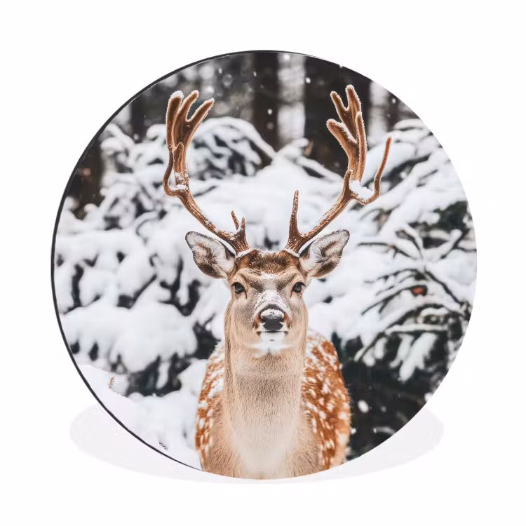 Wandcirkel - Aluminium - Hert - Sneeuw - Winter - Bos - Dieren — 1