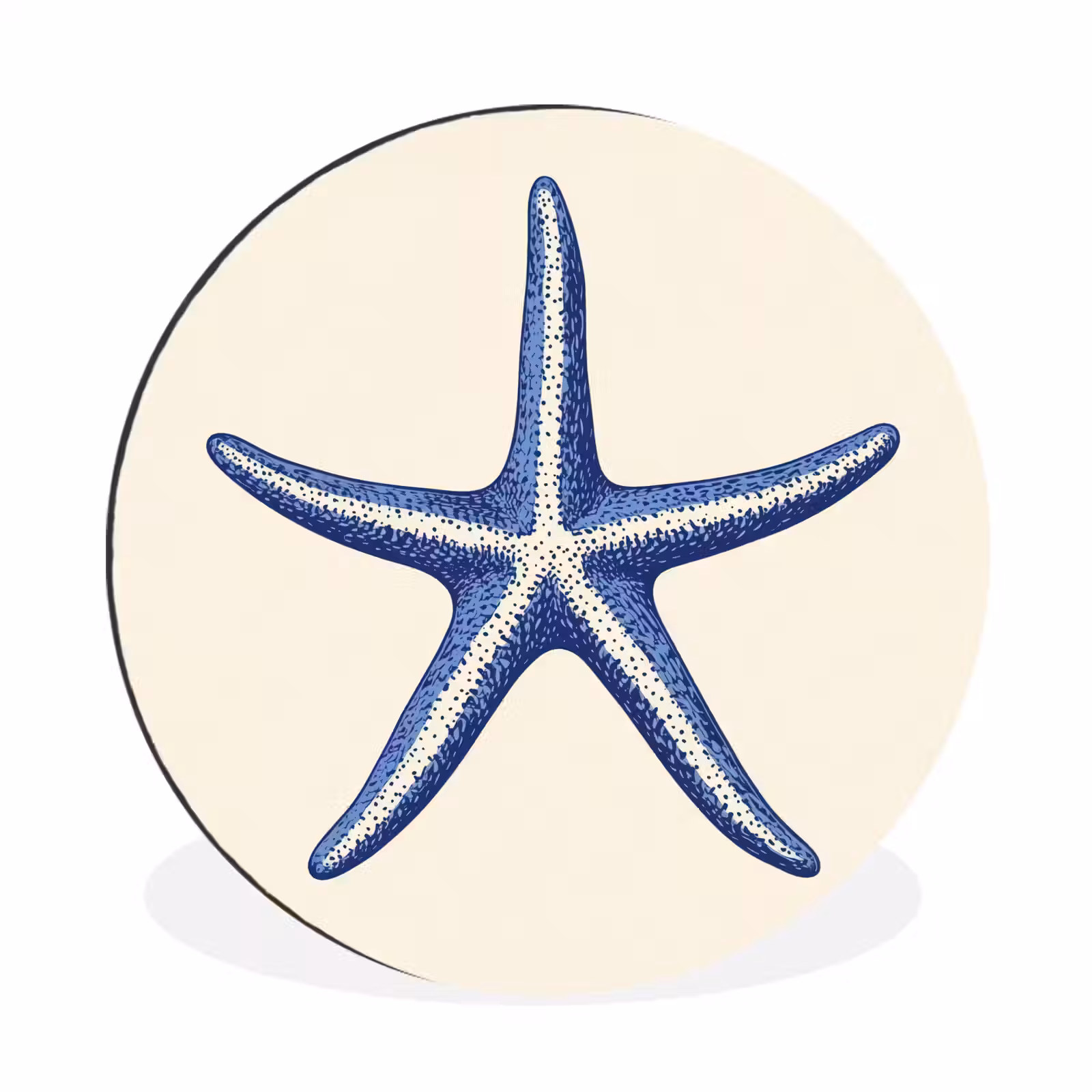 Wandcirkel - Aluminium - Blauwe zeester - Minimalistisch - Beige — 1